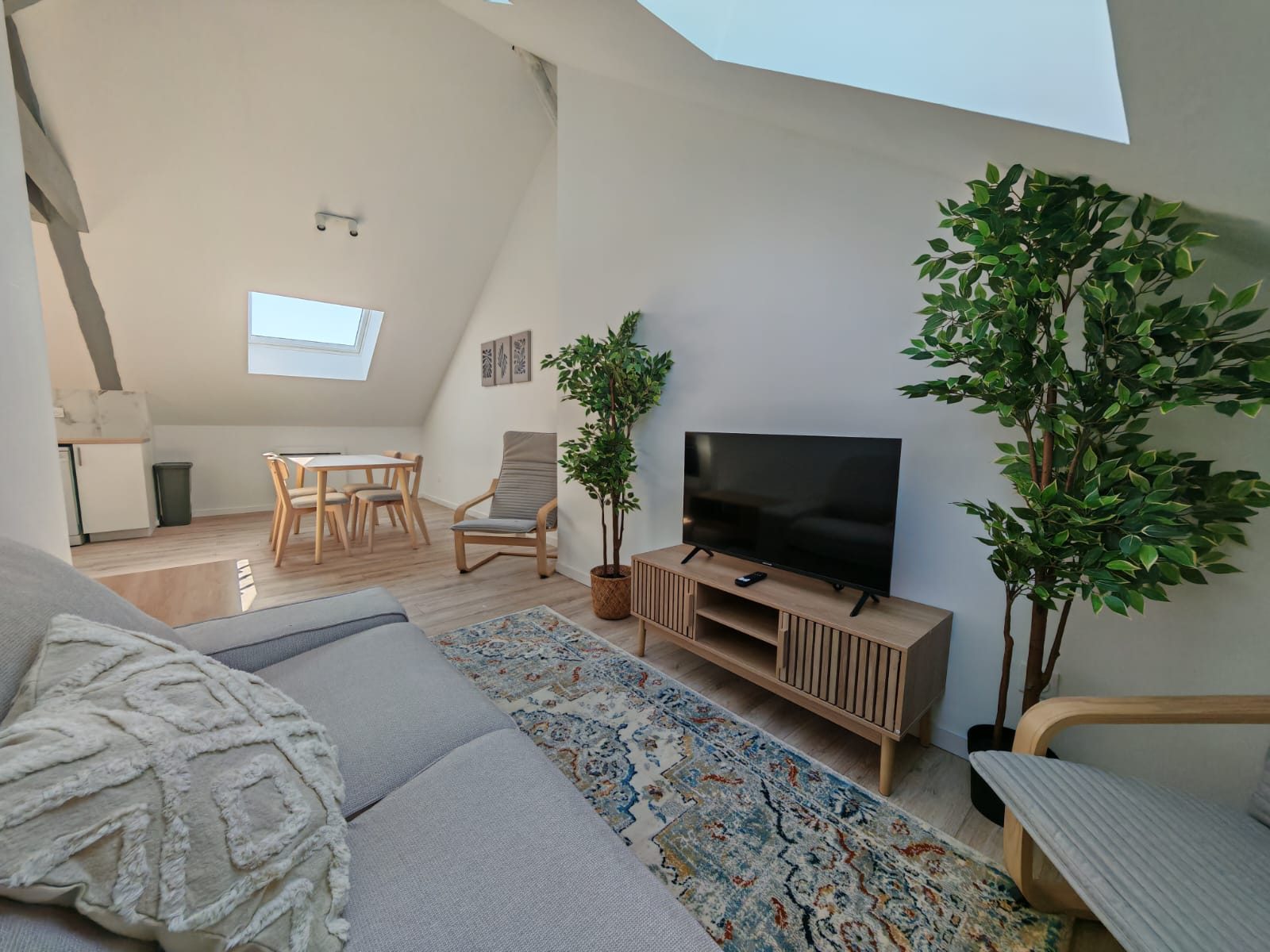 Salon du T4 au Havre Danton — canapé gris, meuble TV bois clair et plantes sous combles lumineux