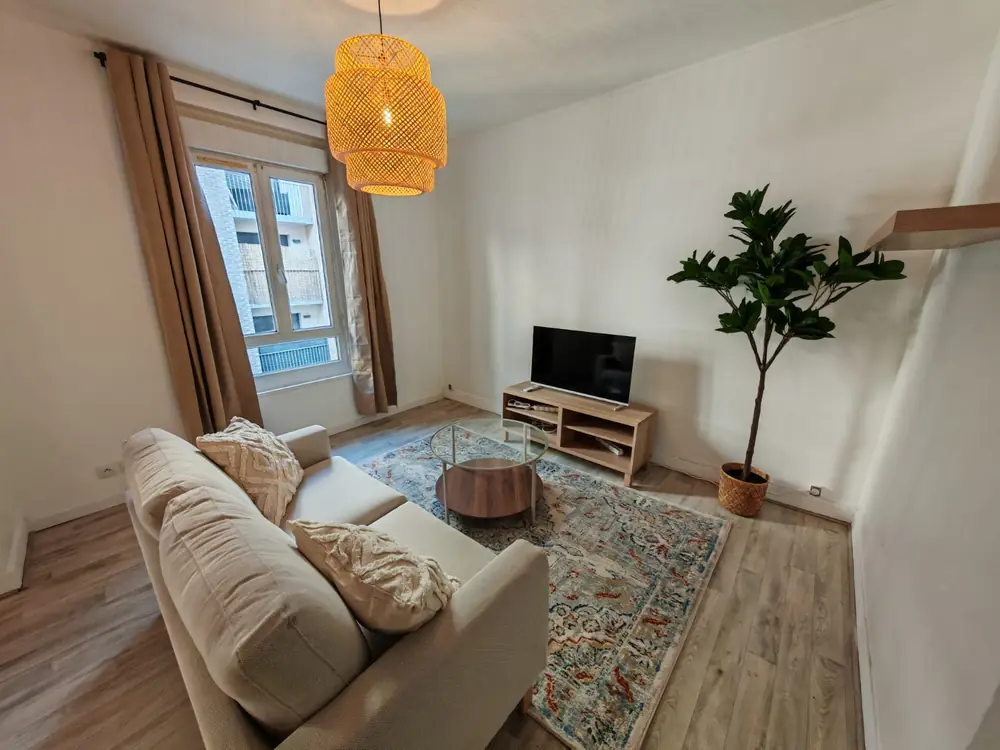 Après — salon meublé avec canapé beige, tapis persan et plante verte