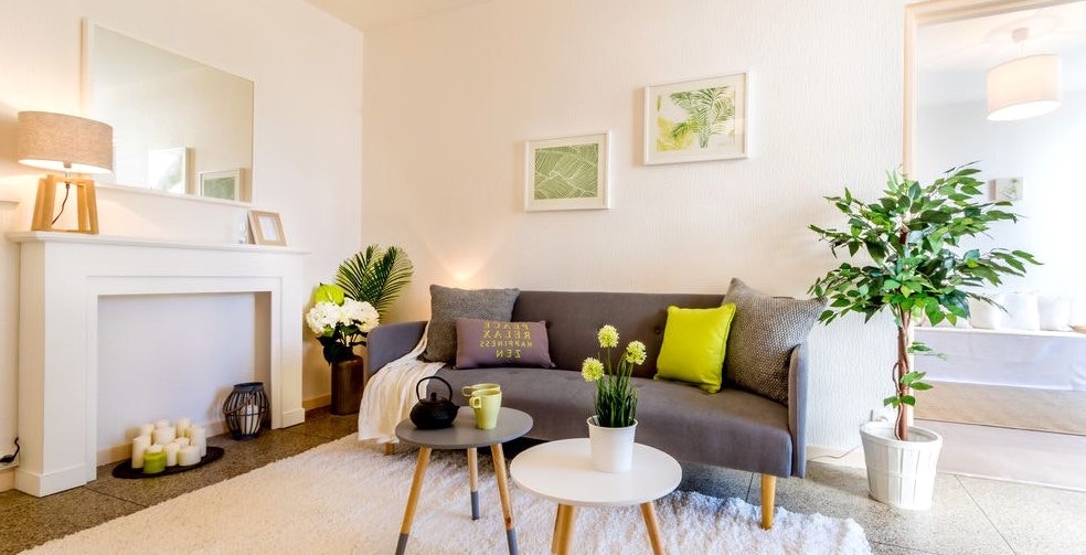 Image pour illustrer une décoration simple et moderne dans un salon pour une location meublée